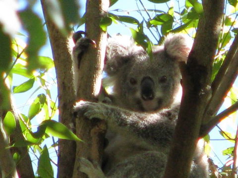 Vision Walks Eco Tours - Accommodation Bookings 30