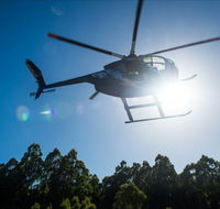 Tall Timbers Adventure Tours - Accommodation Bookings