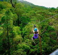 Canyon Flyer - Accommodation Bookings