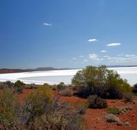 Gawler Ranges Wilderness Safaris - Accommodation Bookings