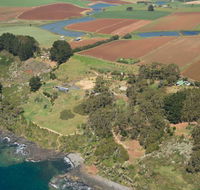 Winged House - The - Accommodation Bookings