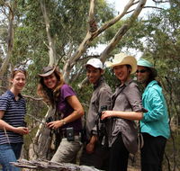 Echidna Walkabout Nature Tours - Accommodation Bookings