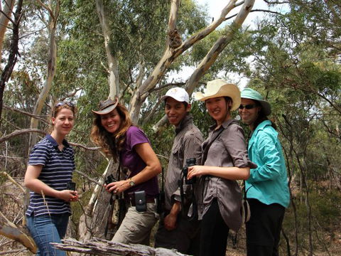 Echidna Walkabout Nature Tours - Accommodation Bookings 2