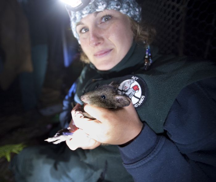  Accommodation Bookings