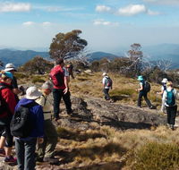 Hedonistic Hiking - Accommodation Bookings