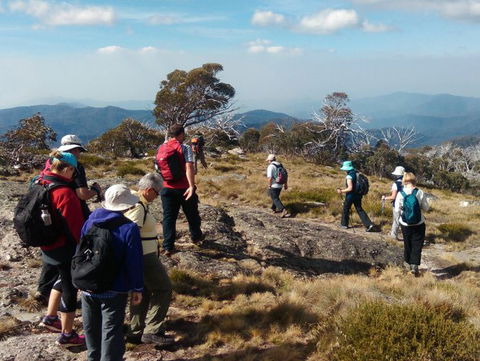 Hedonistic Hiking - Accommodation Bookings 0