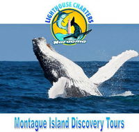 Lighthouse Charters Narooma - Accommodation Bookings
