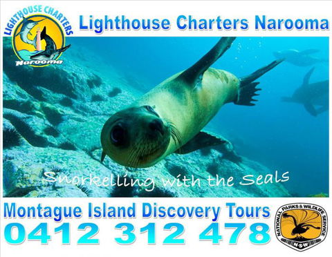 Lighthouse Charters Narooma - Accommodation Bookings 14