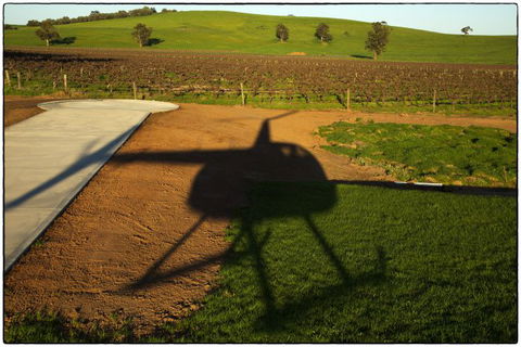 Barossa Helicopters Pty Ltd - Accommodation Bookings 0
