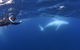 Sunreef Mooloolaba - thumb 3