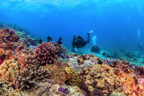 Sunreef Mooloolaba - Accommodation Bookings 8