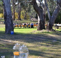 Glendale Citrus  Hazelnut Orchard - Accommodation Bookings