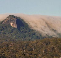 North Queensland Wildscapes Phototours - Accommodation Bookings