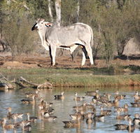 Natural Encounters Trail - Accommodation Bookings