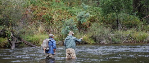 River Escapes - Accommodation Bookings 1
