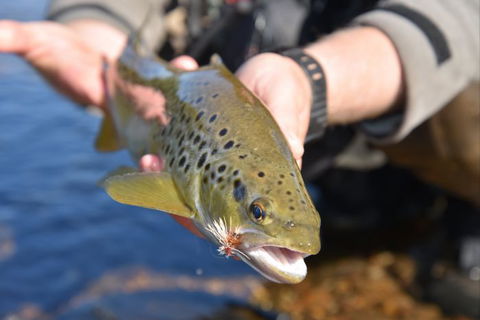 River Escapes - Accommodation Bookings 2