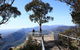 Australian Natural Treasures Touring - thumb 12