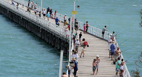 Fraser Coast Amazing Fishing Trails - Accommodation Bookings 27