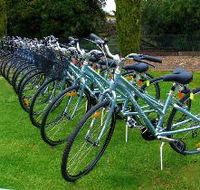 Barossa Bike  - Accommodation Bookings