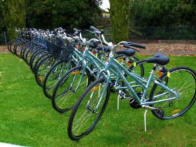 Barossa Bike  - Accommodation Bookings 0