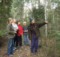 Great Western Tiers Forest Walks Tasmania