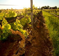 Kaesler Old Vine Vineyard Tour - Accommodation Bookings