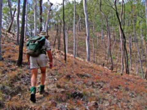 Shepherd's Peak Trail - Accommodation Bookings 0