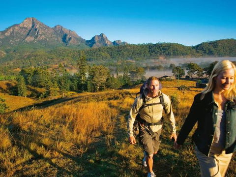 Lower Portals Track, Mount Barney - Accommodation Bookings 0