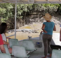 Whitsunday Crocodile Safari - Accommodation Bookings