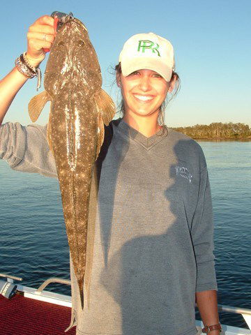 Reel Time Charters Yamba - Accommodation Bookings 1