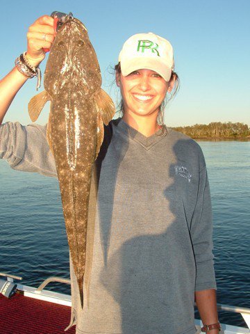 Reel Time Charters Yamba - Accommodation Bookings 2