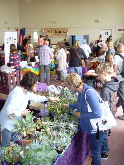 Health Harmony And Happiness Festival - Accommodation Bookings 0