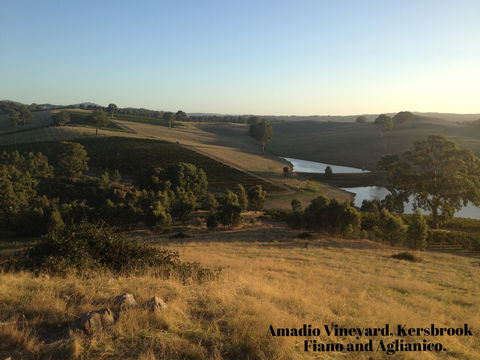 La Prova Wines - Accommodation Bookings 3
