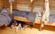 Mawson's Huts Replica Museum - thumb 7