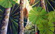 Kingstudio Art & Design Gallery - thumb 1