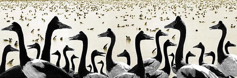 Tin Shed Art Gallery - Accommodation Bookings 0