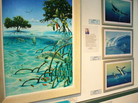 Creations @ The Harbour - Accommodation Bookings 3