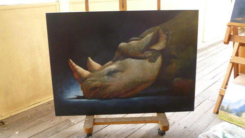 Art On Pallas - Accommodation Bookings 0