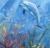 Nadas Fine Art Gallery - Accommodation Bookings