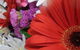 Marysworldart Bali Imports - thumb 0