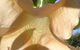 Marysworldart Bali Imports - thumb 1