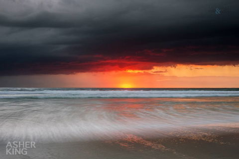 Ocean Art Gallery & Cafe - Accommodation Bookings 2