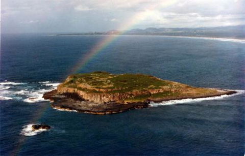 Kirra Dive “On The Tweed” - Accommodation Bookings 2