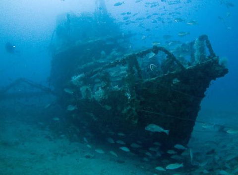 Kirra Dive “On The Tweed” - Accommodation Bookings 4