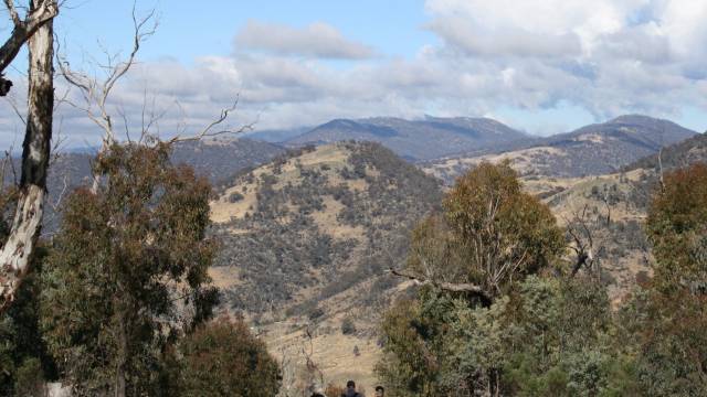Paddys River NSW Accommodation Bookings