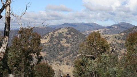 Mt Tennent - Accommodation Bookings 0