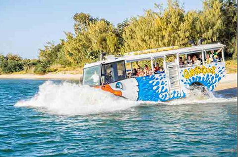 Quackr Duck - Accommodation Bookings 1