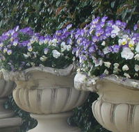 Gardenalia Open Garden and Rare Plant Nursery - Accommodation Bookings