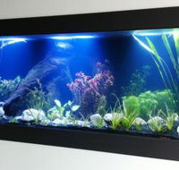 Aquariums in Cairns - Accommodation Bookings