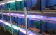 Summerland Aquarium - thumb 1
